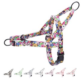 haoyueer No Pull Dog Harness for Small, Medium and Large Pets - Floral Pattern Nylon Safety Training Harness (Fireworks, S)