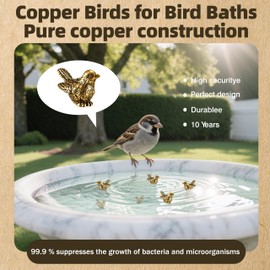 QHUAFoRen 6 Pcs Copper Bath Disks Ornaments Mini Bird Shape, Retro Copper Birdbath Purification Cleaner, Fit for Outdoor Birdbaths, Bowls