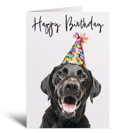 Postcard Prints - Birthday Card For Her Card For Friend Mum or Sister Birthday Card For Him Brother Dad Happy Birthday Card of Labrador Dog Fun Birthday Card