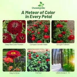 Outsidepride Dahlia Red Meteor Zinnia Seeds - 2000 Pieces Annual, Heat & Drought Tolerant Flower Seeds for Planting w/Vibrant Blooms for Pollinator Gardens & Floral Arrangements