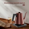Gooseneck Electric Kettle 1.0L, 1000W Rapid Boil In 4 Min,