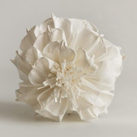 5 Magnolia Lilliflora 3" Sola Flower Reed Diffuser for Home Fragrance by Plawanature