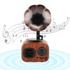 Heayzoki Retro Bluetooth Speaker, Portable Walnut Speakers Radio, Mini Loudspeaker