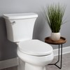 Mayfair Greenleaf Modern Toilet Seat, Recycled Plastic, Slow Close, Easy
