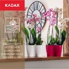 Kadax Indoor Flower Pot, Orchid Windowsill Planter, Plastic, Modern