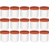 Frühes Forschen 15 ointment cans, high, 12 ml capacity with
