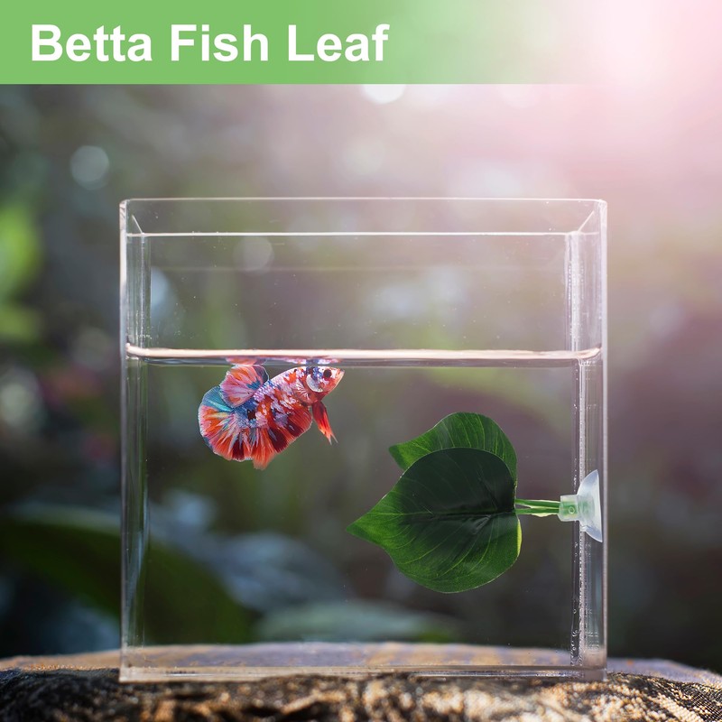 CAPASTEC Betta Fish Leaf, Natural Habitat Simulation for Betta Spawnings