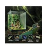 Helime Reptile Glass Terrarium - Amphibians Habitat Cages 12x8x8inch Starter