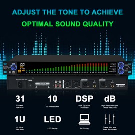 MIZISNR Digital Equalizer for Home Stereo Audio System, Professional 31 Band Dual Channel Graphic Equalizer Music EQ with PC Tuning, Noise Reduction & Spectrum Analyzer Display - Black