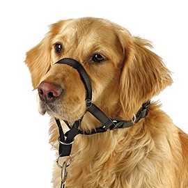 BARKLESS Dog Head Collar, No Pull Training Tool for Dogs on Walks, Includes Free Training Guide, 5 (S, Black)