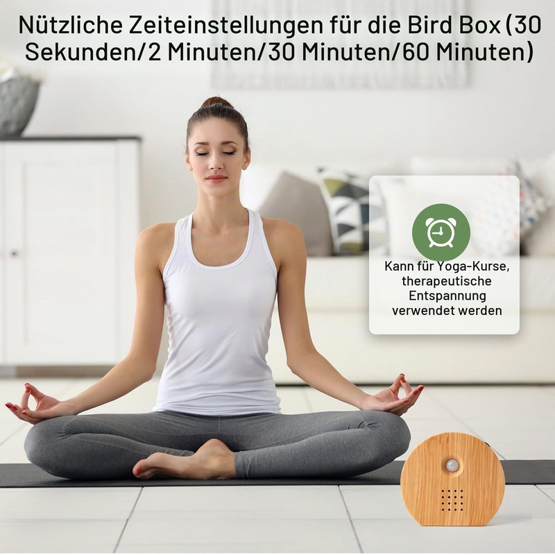 Bird Chirping Motion Sensor Box, Birdsong, Natural Sounds Box with