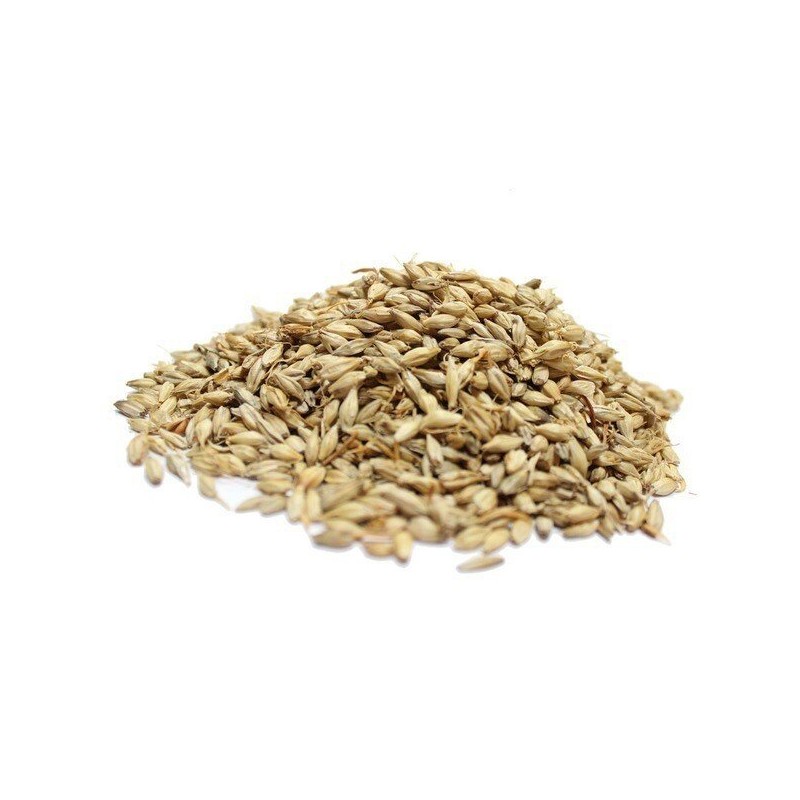 국내산 볶은 보리(맥아) 500g Domestic Roasted Barley (Malt) 500g