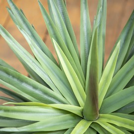 24" Tall Lifelike Large Artificial Agave Sisalana Succulent Plant for Indoor and Outdoor Home Décor