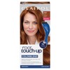Clairol Clairol Root Touch-Up Permanent Hair Dye, 6R Light Auburn
