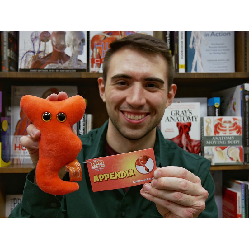 GIANTmicrobes Appendix Plush, Appendix Surgery Recovery, Appendicitis Gift, Appendectomy Recovery