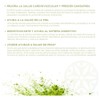Te Matcha Ceremonial Nice 100 Puro Green Tea 70 Grs