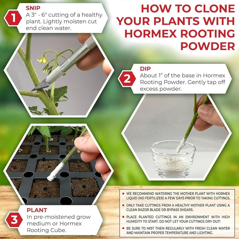 Hormex Rooting Powder #1 & Rooting Cubes Combo - Rooting