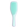 Tangle Teezer The Wet Detangler Lilac/Mint Hair Brush, 1pc
