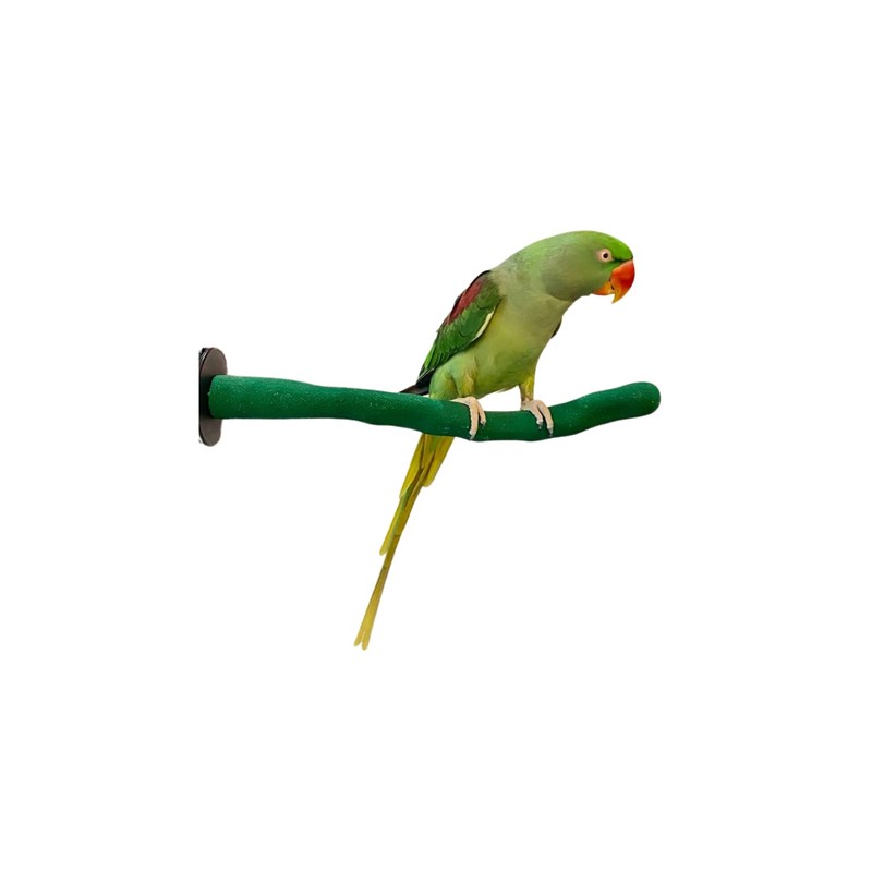 Orthopedic Sandwalk Medium Green