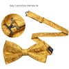 Barry.Wang Gold Bow Tie Set Men Paisley Silk Pre-Tied Bowtie