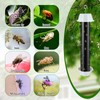 Qualirey Fly Traps for Indoor Outdoor Hanging Fruit Fly Stick