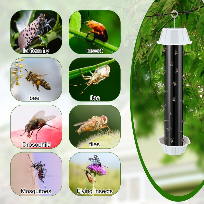 Qualirey Fly Traps for Indoor Outdoor Hanging Fruit Fly Stick