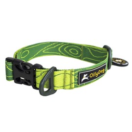 OllyDog Flagstaff Dog Collar with Buckle, Adjustable Safety, Lightweight, Durable and Comfortable for Everyday Outdoor Use, for Small, Medium, or Large Dogs