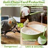 Lonepetu Automatic Parakeet Bird Bath Shower, Quiet Circulating Parrot Bathtub