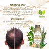 Shampoo Orgánico Ozonizado De Romero y Aloe Vera y Vitamina
