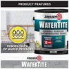 Zinsser 369381 WaterTite General Purpose Waterproofing Paint, Gallon, White