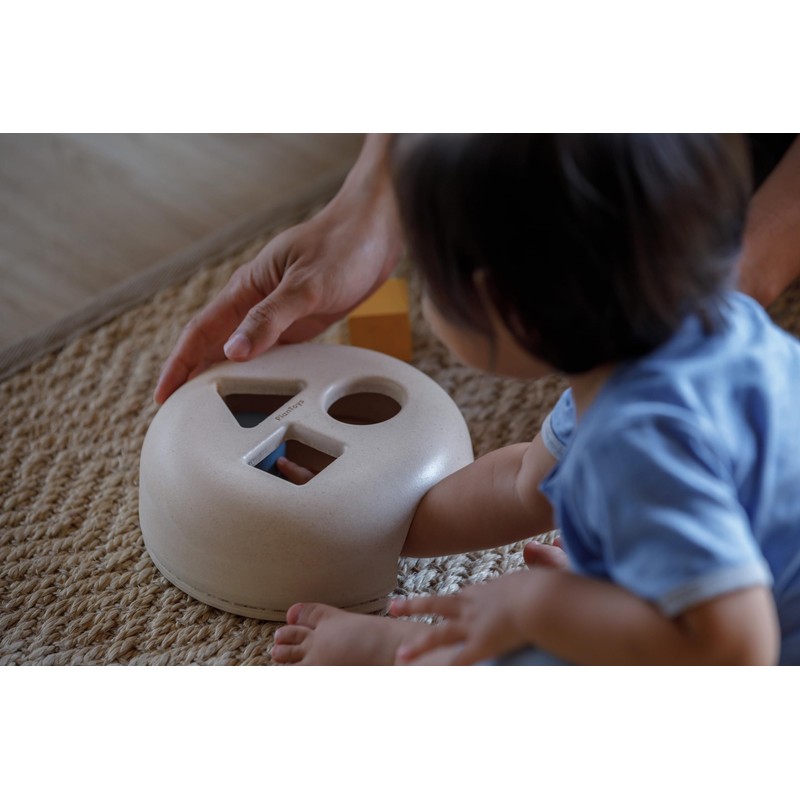 PLANTOYS Geometric Sorting Neo 5400