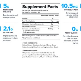 LEGION Recharge Post Workout Supplement - All Natural Muscle Builder & Recovery Drink with Micronized Creatine Monohydrate. Naturally Sweetened & Flavored, Safe & Healthy (Fruit Punch, 30 Serve)