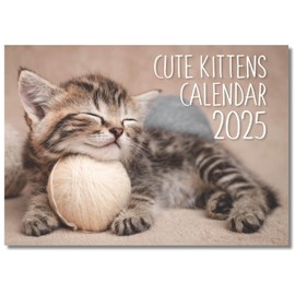 2025 A4 Cute Kittens Calendar. One Month to View. A3 when open. Wall Calendar by Absolutely Yours.