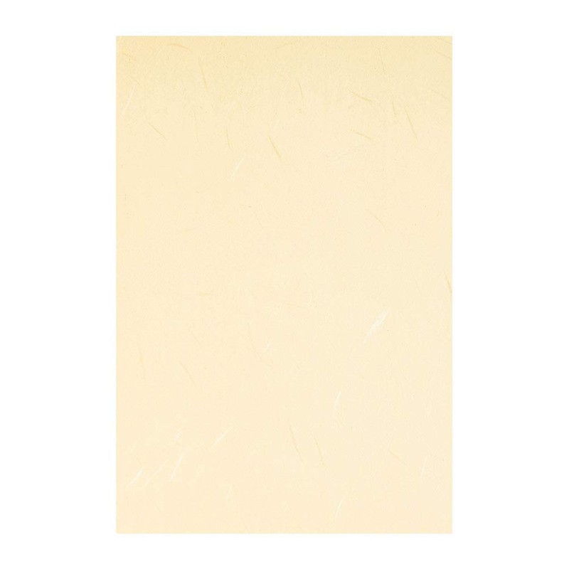 Forest Paper, Ultra Thin, Natural Wood Paper, Cedar, Postcard Size,