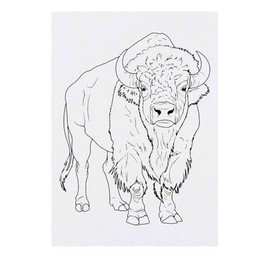 'Wild Bison' Temporary Tattoo - Water Resistant, Skin-Safe, Non-Toxic Transfer (TO00085105)
