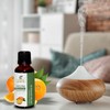 Sheer Essence Bitter Orange Oil (Citrus Aurantium) Essential Oil 100%