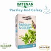 2 Pack Herbal Imtenan Parsley And Celery Tea Bag Natural