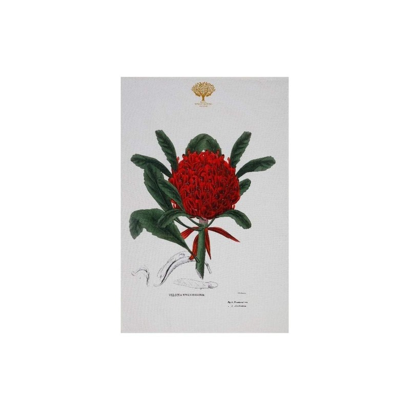 Maxwell & Williams Royal Botanic Gardens Australian Botanics Tea Towel