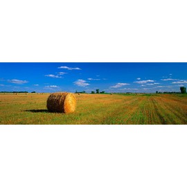 Walls 360 Peel & Stick Wall Mural: Hay Bales South Dakota (48 in x 16 in)