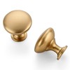 Ravinte 30 Pack Champagne Bronze Round Zinc Cabinet Knobs for