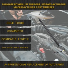 Dasbecan Rear Electric Tailgate Power Lift Support Shock Strut Compatible with Hyundai Palisade 2020 2021 2022 2023 2024 Replaces# 81831-S8100 81831S8100 Left Side 1 Pcs