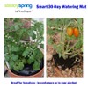 SteadySpring(R) Smart 30+Day Watering Mat Auto Refills with Rain for