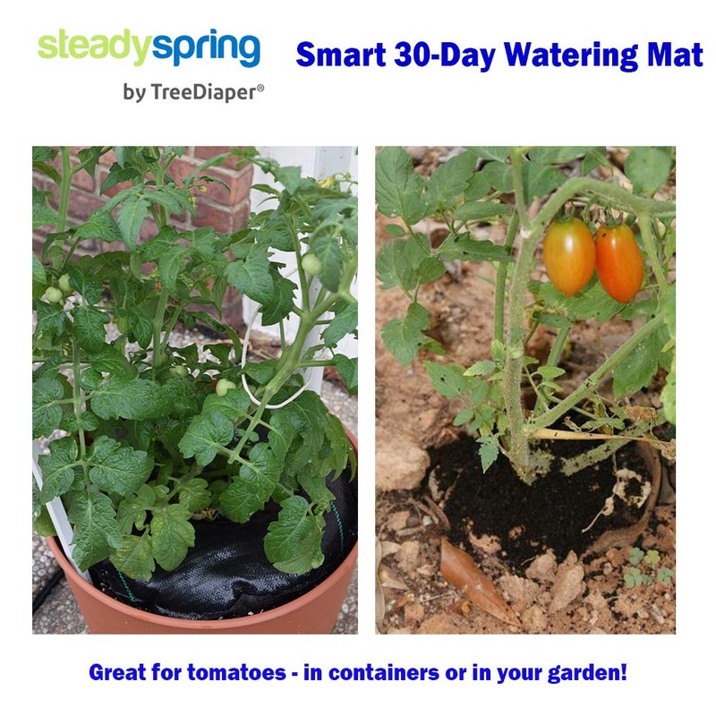 SteadySpring(R) Smart 30+Day Watering Mat Auto Refills with Rain for