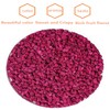 Dried Diced Dragon Fruit 4.93OZ/140G Dried Dragon Fruit Chips Snack,Cubes,