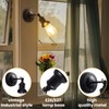 DoRight RV Ceiling Light Camper Lights, Wall Sconces Set of
