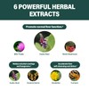 Fuenvegtal Kudzu Root Extract Drops for Liver Support, High Absorption