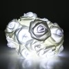 VIPMOON Rose Flower String Lights,2M 20LED Battery Operated Romantic String