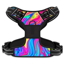 Rnivvi No Pull Dog Harness, Cute Reflective Large Sized Puppy Harness, Adjustable Soft Padded Vest for Large Dogs, Heavy Duty Pet Vest with Easy Control Handle for Walking Training, Rainbow Art