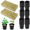 72 Sets Rockwool Cubes and Net Pots, 1.2 * 1.2