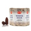 Backflow Incense Cones (White Sage) Total 40 Cones - Hem